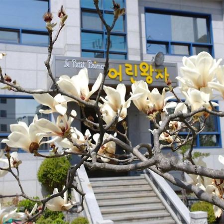 Little Prince Guesthouse Gangneung Exterior photo